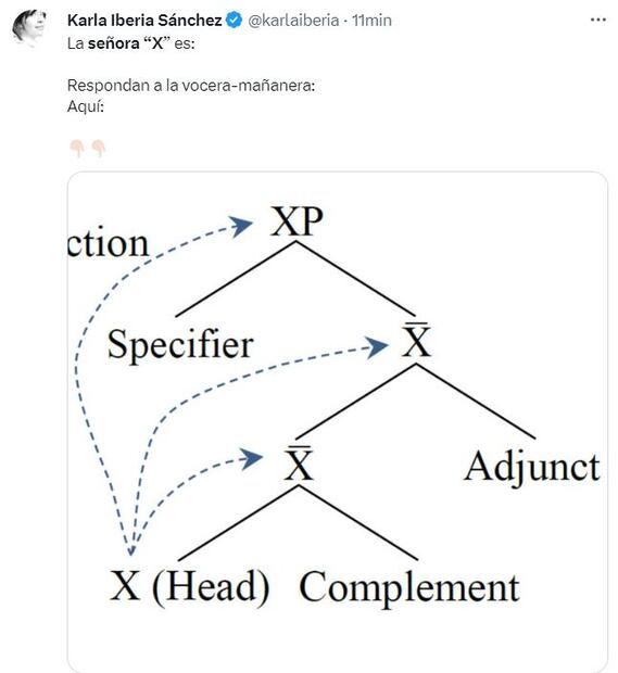 Surgen memes de Xóchitl Gálvez como "La Señora X"