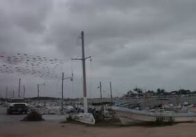 Masa de aire ártico y "Norte" paralizan la actividad pesquera en Yucatán; rachas de 70 km/h provocan cierre de puertos