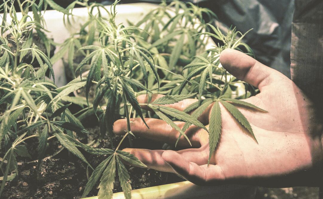 (FOTO: ARCHIVO EL UNIVERSAL)