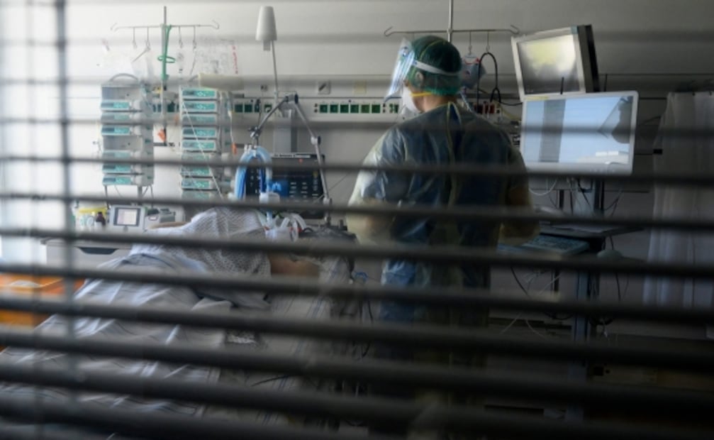 ¿Qué es la ivermectina y por qué se estudia contra el Covid-19?