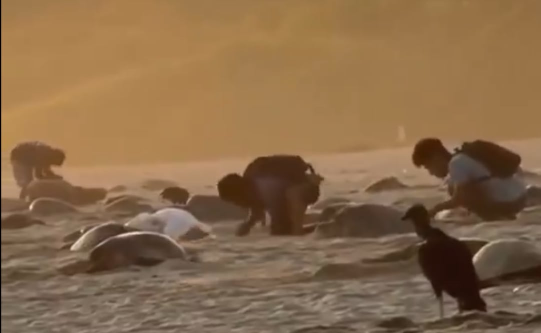 Foto: Captura de pantalla @rioaxaca