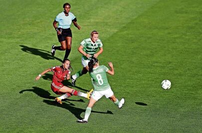 Falencias tricolores, a la luz