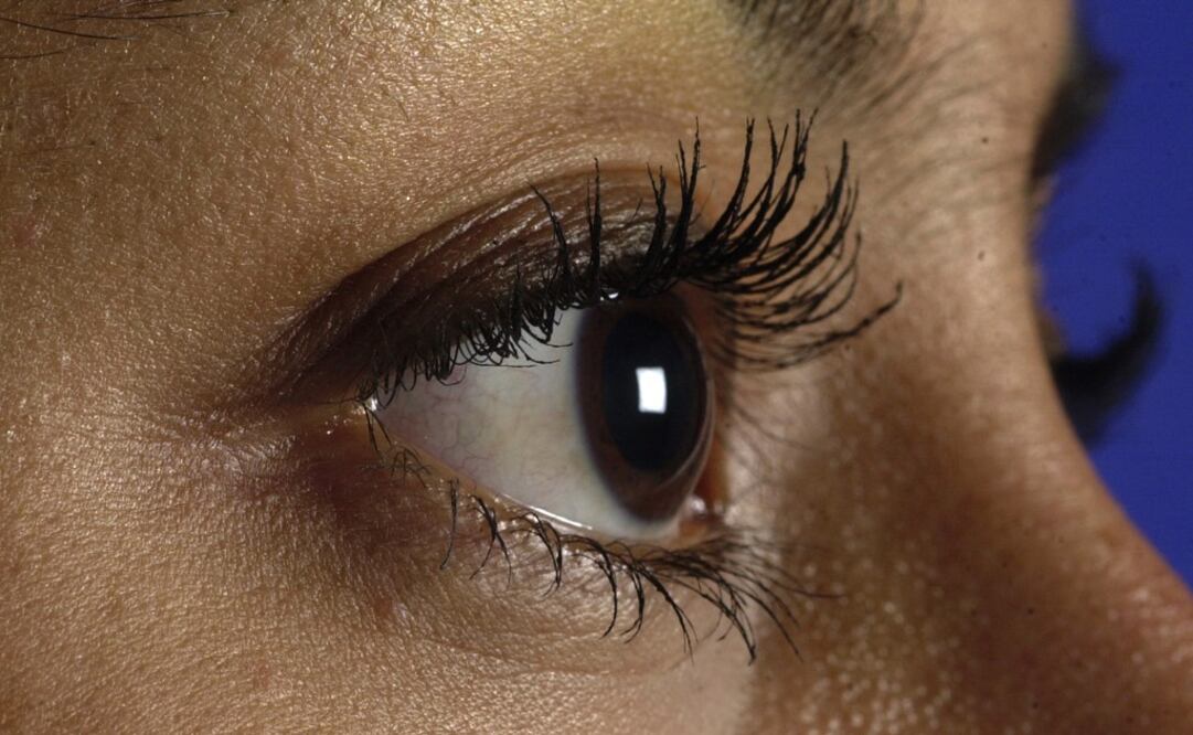La posibilidad de que el hombre pudiera percibir un solo fotón en la córnea ha sido objeto de especulaciones por parte de la comunidad científica. (FOTO: Archivo/ EL UNIVERSAL)