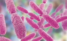 Patentan proceso con bacteria que biotransforma metales tóxicos