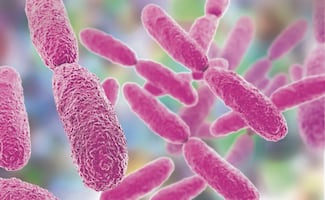 Patentan proceso con bacteria que biotransforma metales tóxicos
