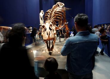 París exhibe restos de tiranosaurio rex por primera vez
