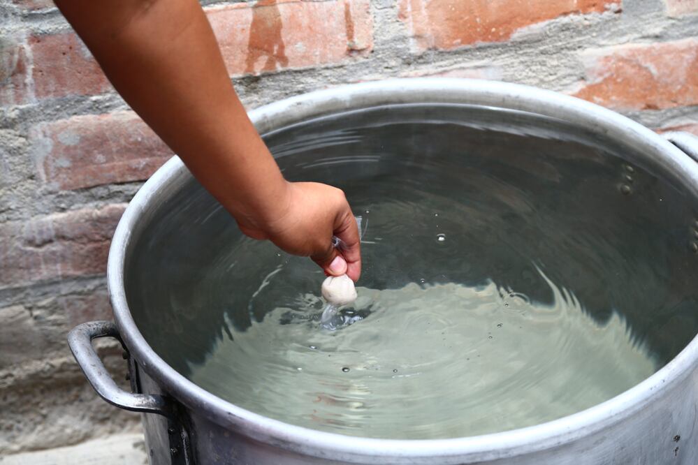 El chikungunya es un virus que se transmite por la picadura de mosquitos como el Aedes aegypti y el Aedes albopictus, el mismo que puede ocasionar dengue o zika (Xinhua)