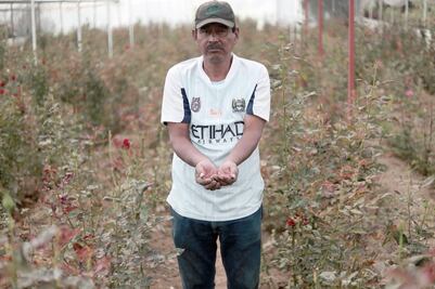 En TLCAN siempre estamos en desventaja: productores