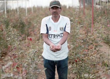 En TLCAN siempre estamos en desventaja: productores