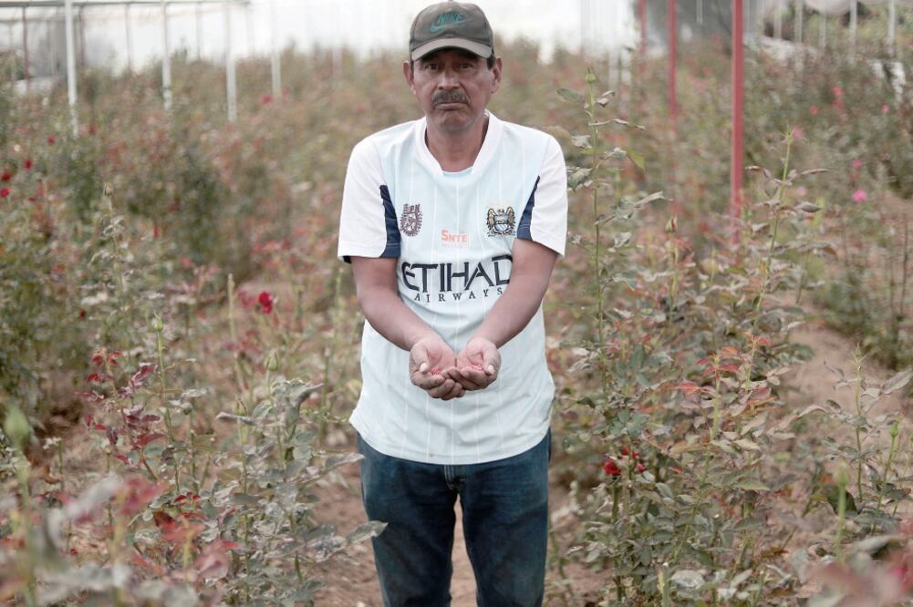 Pedro Santillán señala que hace dos décadas su maíz se vendía a mejor precio, ahora lo siembra para consumo familiar, y tuvo que diversificar sus productos para comerciar (ALEJANDRA LEYVA)