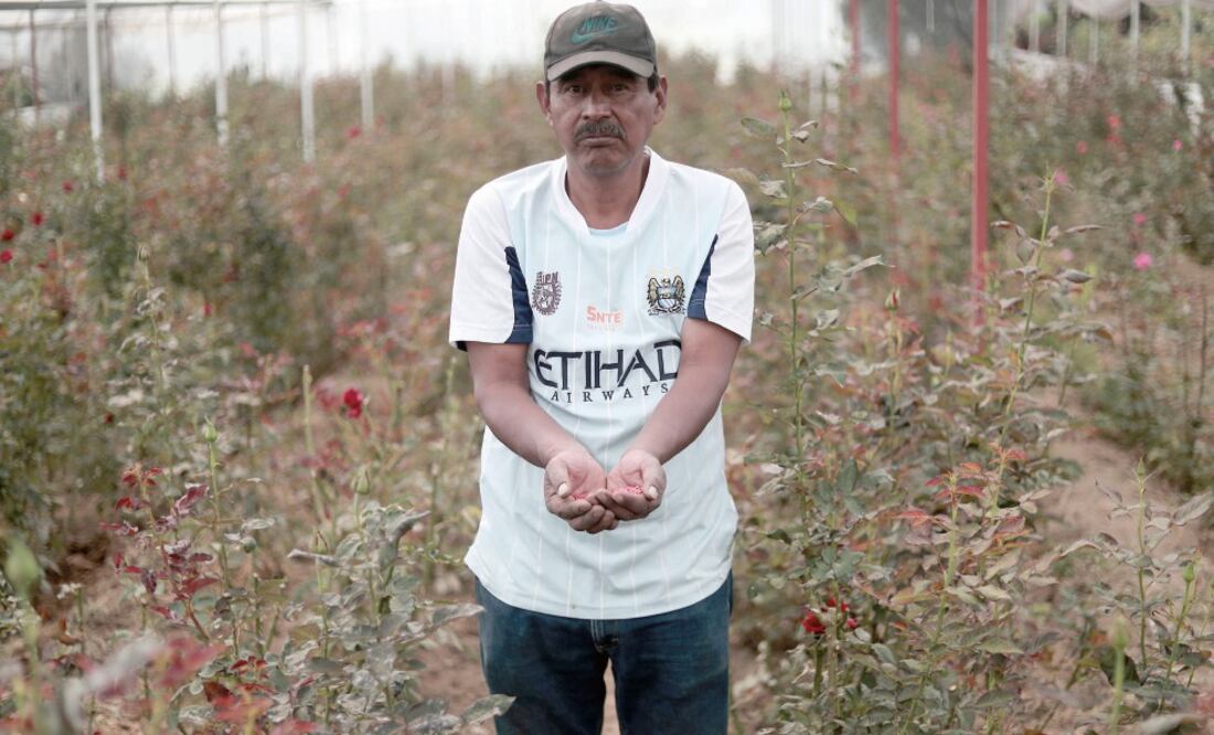 Pedro Santillán señala que hace dos décadas su maíz se vendía a mejor precio, ahora lo siembra para consumo familiar, y tuvo que diversificar sus productos para comerciar (ALEJANDRA LEYVA)