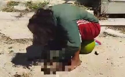 Detienen a mujer por comerse un gato en la vía pública en Kanasín, Yucatán