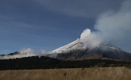 Popocatépetl lanza columna de ceniza de 500 metros