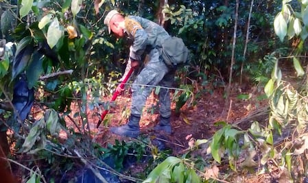 Continúan trabajos para sofocar incendios forestales en Chiapas y Puebla