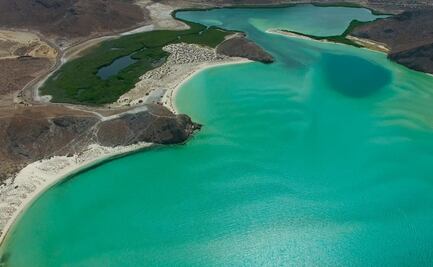 Tras derrame de combustible, evalúan calidad del agua y manglares en zona de Balandra, BCS