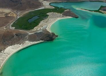 Tras derrame de combustible, evalúan calidad del agua y manglares en zona de Balandra, BCS