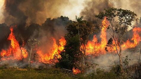 Lo que se sabe de cómo se originaron los incendios en la Amazonia que están causando estragos en la región