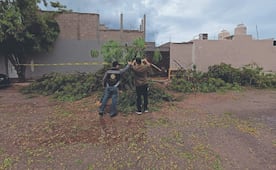 Fuertes lluvias afectan a BCS, Sonora y Sinaloa