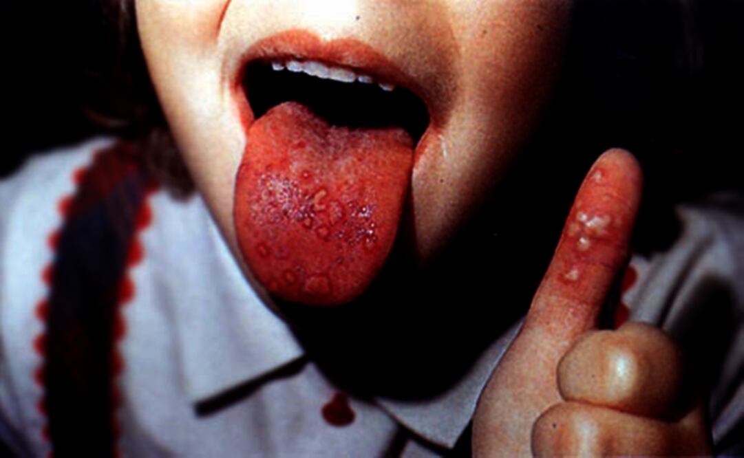 Foto: Archivo/ EL UNIVERSAL