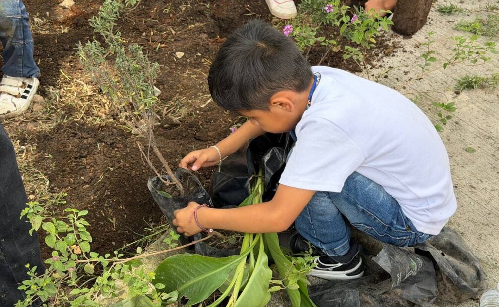 Reforestan Plaza Pentathlón; plantan árboles y jardines polinizadores en la Roma Sur. Foto: Especial