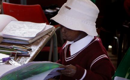 ¿Qué es la progeria y cómo es que ratones ayudarían a encontrar su cura?