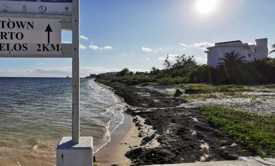 Foto: Adriana Varillas / EL UNIVERSAL