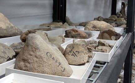 México tiene nuevo Laboratorio de Paleontología 