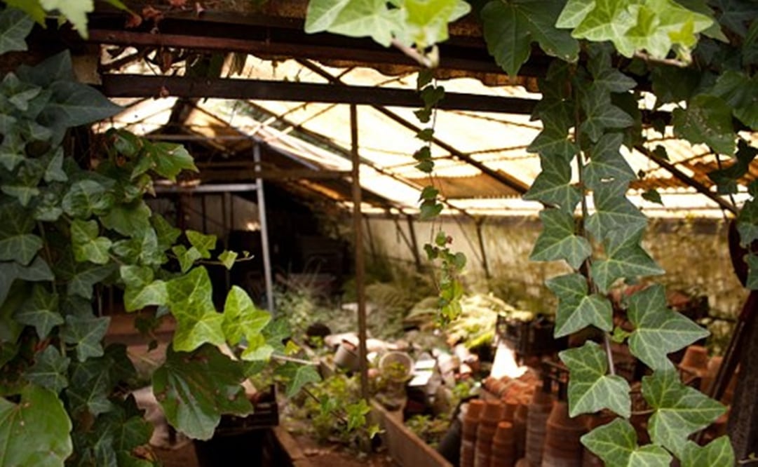 Una de las residentes dijo a las autoridades que la víctima vivía sola. Foto ilustrativa: Pixabay