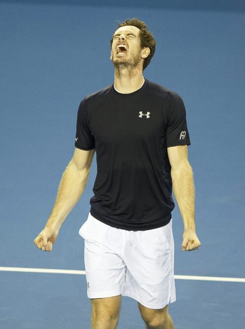 Murray quiere disputar la final de Copa Davis ante Bélgica (ROBERT PERRY. EFE)