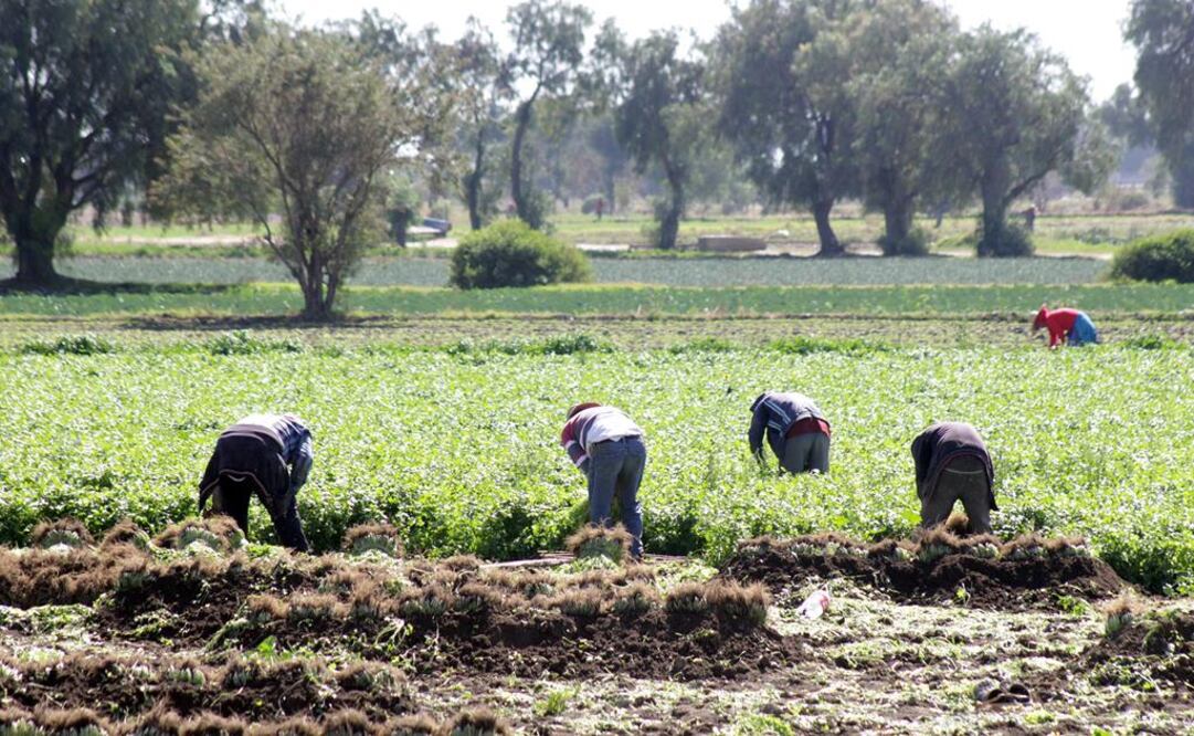 Perjudicial, imposición de aranceles para México en TLCAN, advierte el FMI