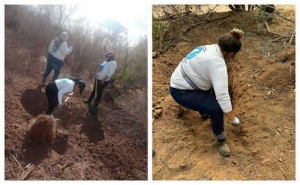Aumenta a 40 osamentas y 7 cuerpos humanos el hallazgo en el panteón clandestino en Hermosillo; piden a familias realizar pruebas de ADN