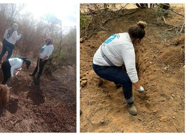 Aumenta a 40 osamentas y 7 cuerpos humanos el hallazgo en el panteón clandestino en Hermosillo; piden a familias realizar pruebas de ADN