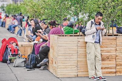 Legisladores piden informe de portabilidad