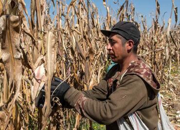 Pequeños productores del Edomex pueden acceder al Fondo de Indemnizaciones en caso de perder la vida o accidentarse: Secampo