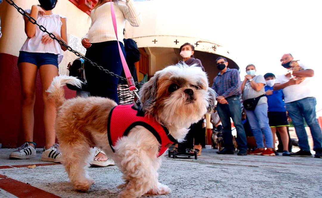 (Foto: Archivo / EL UNIVERSAL)