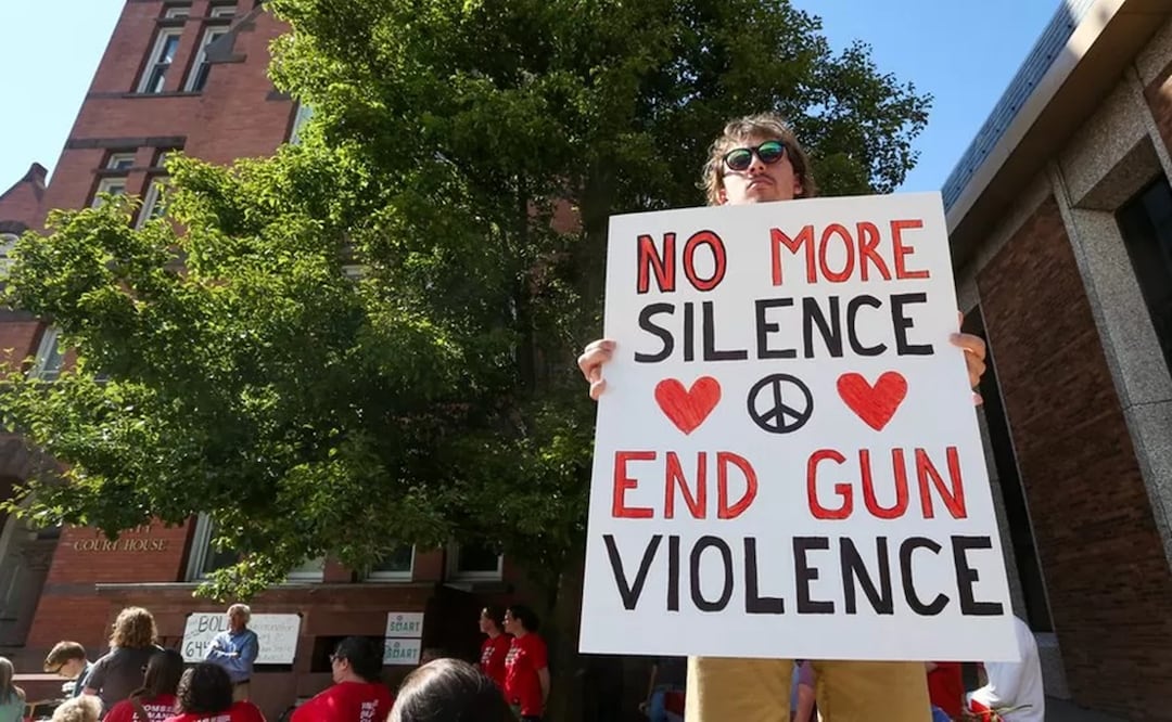 Manifestantes con carteles contra la violencia armada Foto: IMÁGENES FALSAS