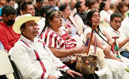 Hay cinco nuevos pueblos originarios