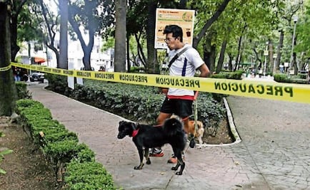 75-year-old woman could have poisoned dogs in Condesa neighborhood
