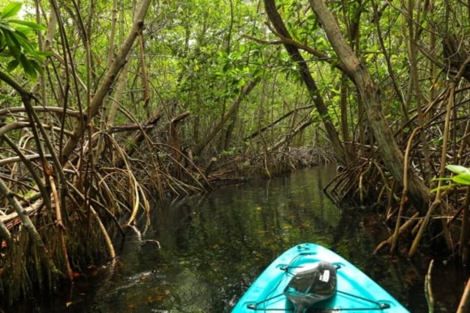 Cenotes en Yucatán: sigue esta ruta casi secreta