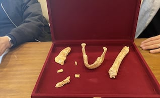 Hallan en Marruecos restos humanos de 773 mil años clave para entender el origen del Homo sapiens