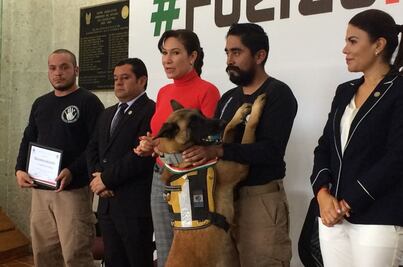 “Akasha” y voluntarios son distinguidos en Hidalgo por rescates en CDMX