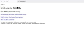 No es tu Internet, sitio del Gobierno de México está inhabilitado; "en 25 minutos quedarán", explican