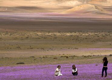 El extraño fenómeno que hace florecer el desierto