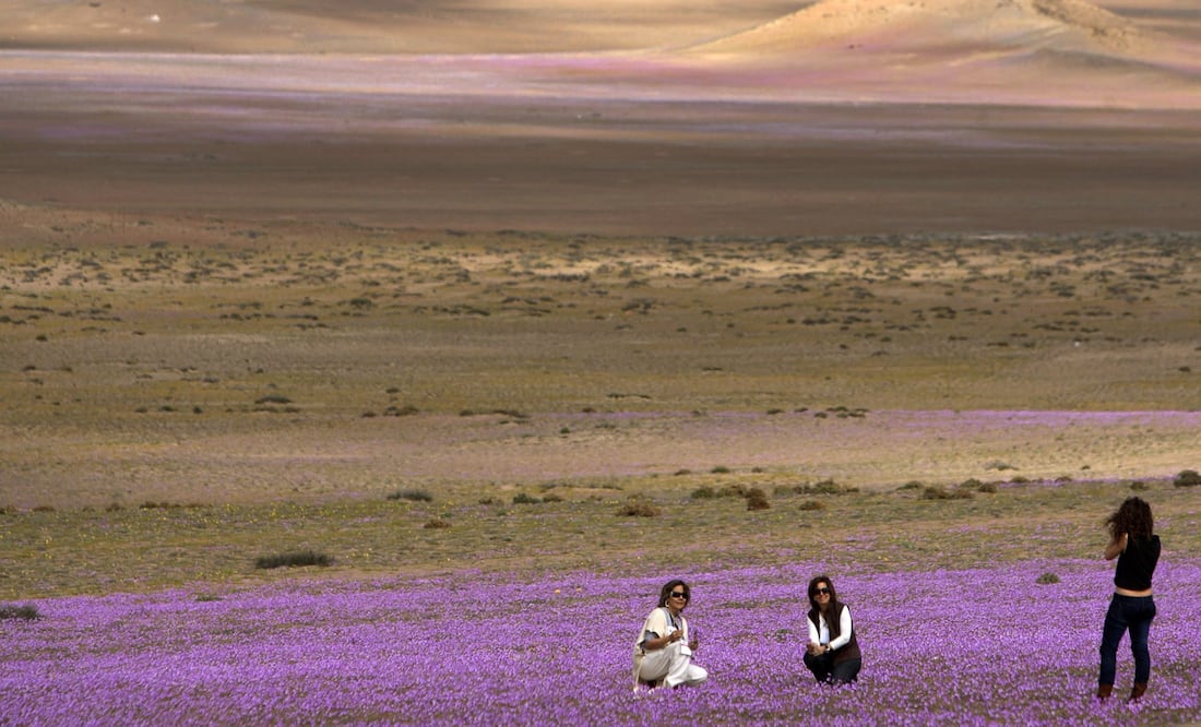 Este fenómeno ocurre cada cinco o siete años. (Foto: EFE)