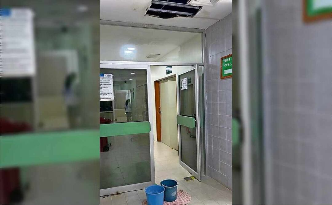 Dentro del hospital, entre el techo y los plafones, el personal médico ahuyenta a los mapaches que andan en busca de residuos de comida. Foto: Especial