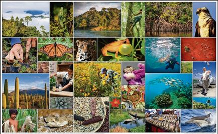 José Sarukhán: "En riesgo, el conocimiento del medio ambiente sin CONABIO"