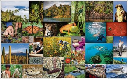 José Sarukhán: "En riesgo, el conocimiento del medio ambiente sin CONABIO"