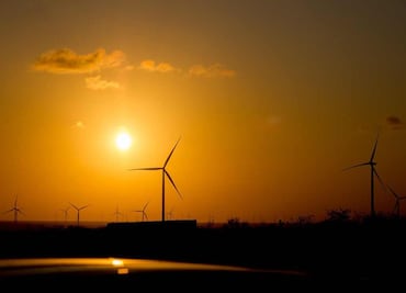 Empresas del futuro más sostenibles usando la tecnología