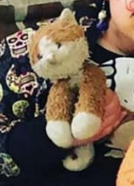 Niña pide ayuda para encontrar a "BB jaguar"; ofrece un dulce y 20 pesos como recompensa