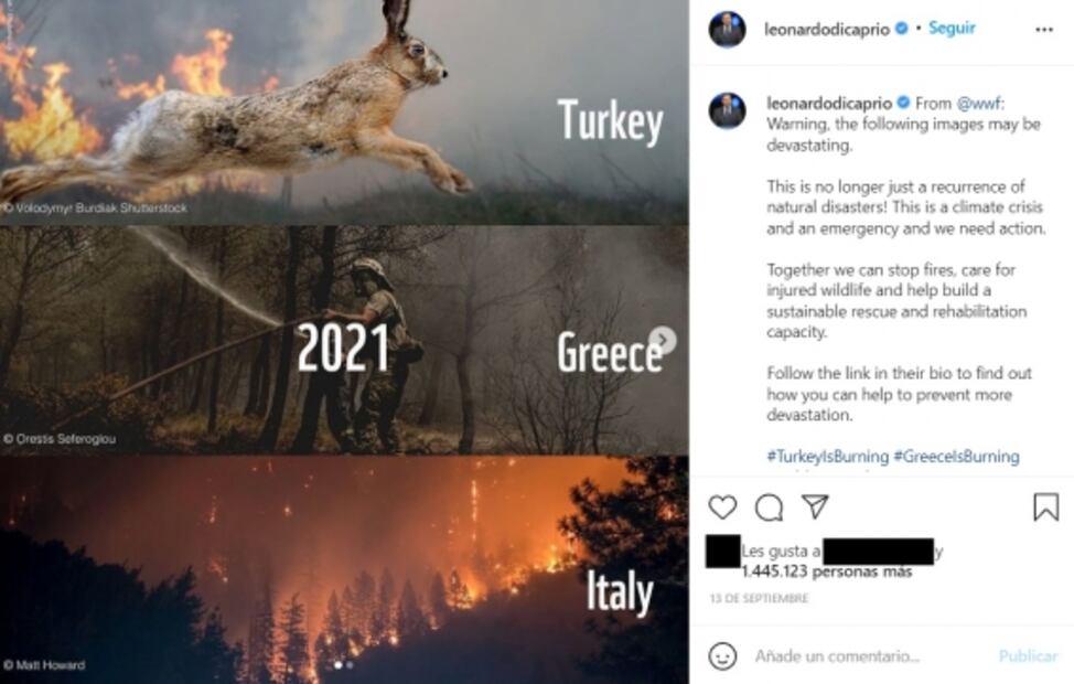 Cambiaron la fama por salvar al planeta